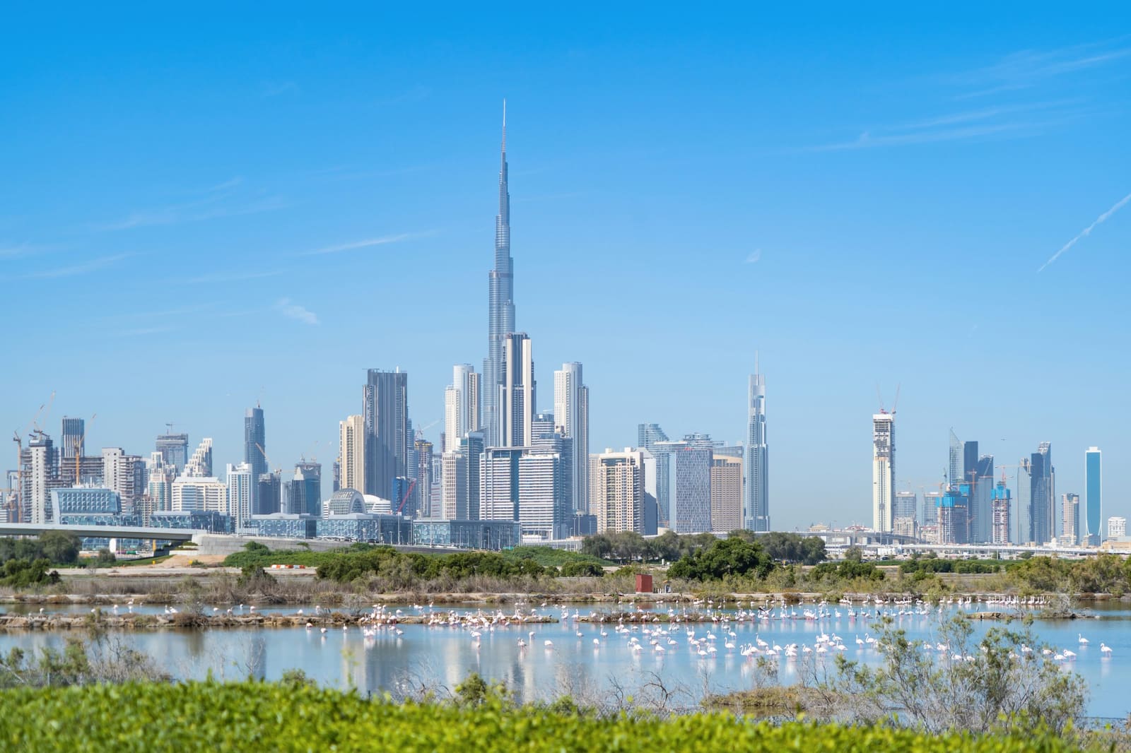 Flights from Chennai to Dubai - An Overview