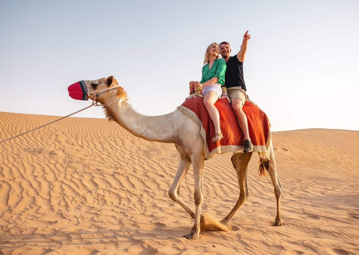 A Guide to Dubai Desert Safari - Best Itinerary and Guide Here!
