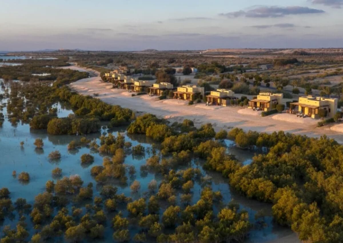 Sir Bani Yas Island, Abu Dhabi - Tourist Guide 2025