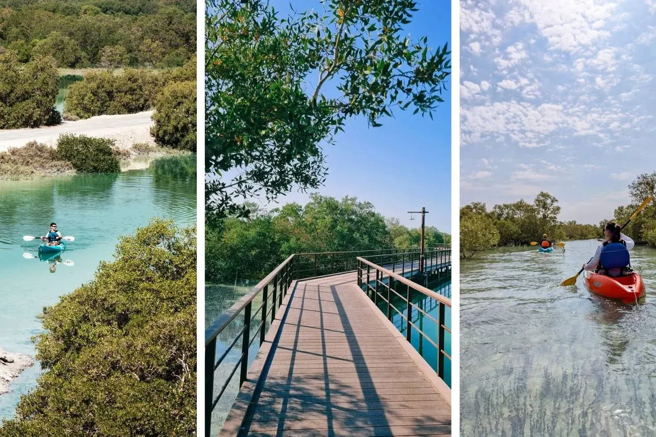 Free Entry to Abu Dhabi’s Secret Jubail Mangrove Park? Know Full Details
