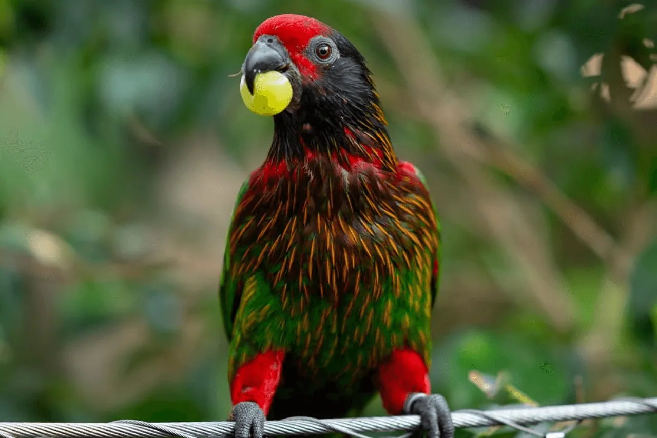 The Green Planet Dubai: Tourist guide to splendid indoor rainforest in a desert