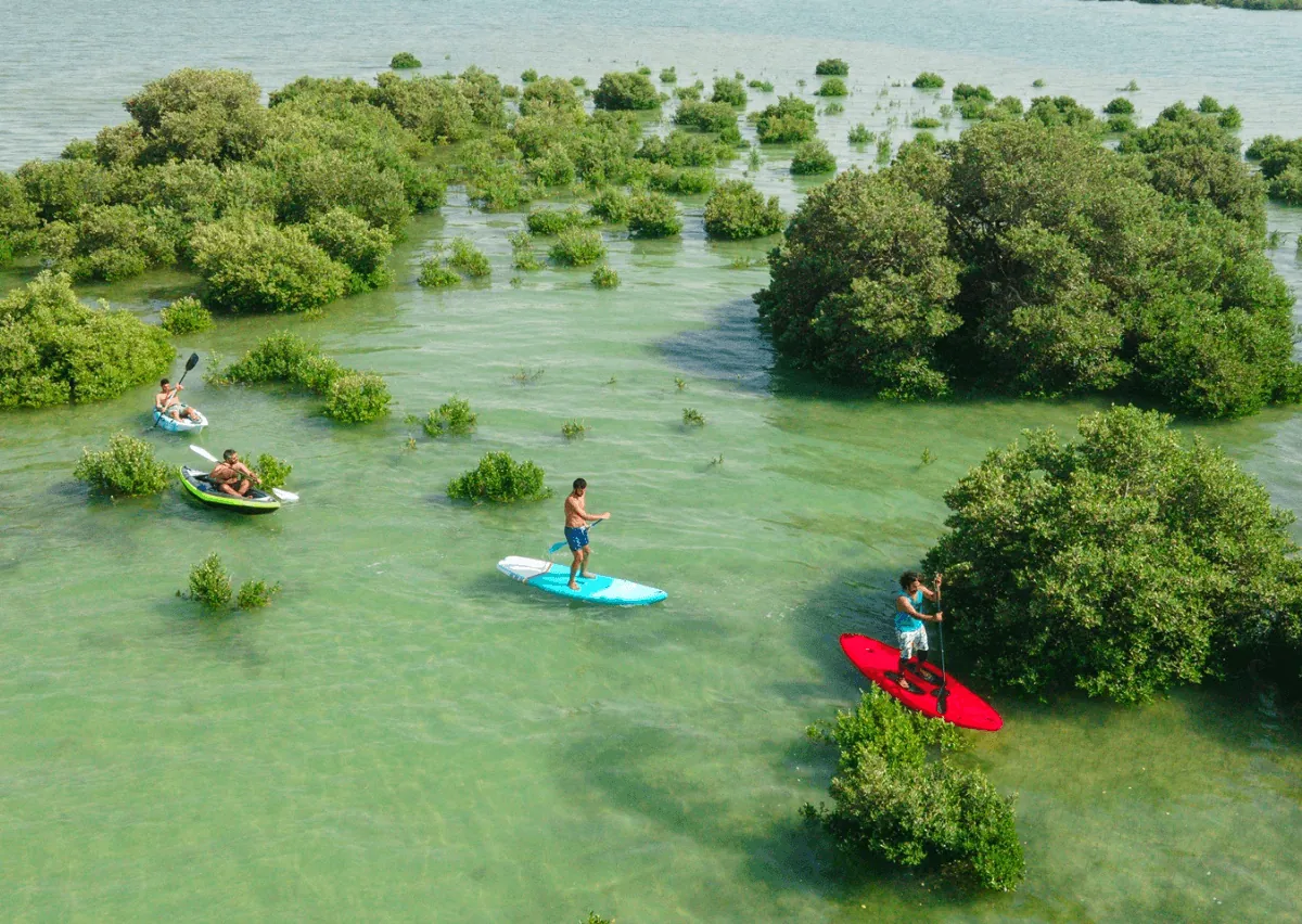 Heritage, serenity and relaxation: Here are the most recommended things to do in Umm Al Quwain