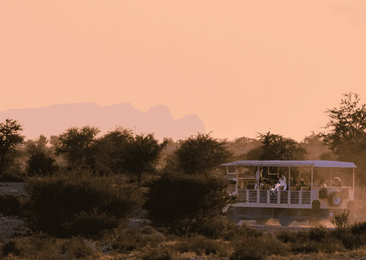 Time to indulge in an epic safari in UAE experience: Sharjah Safari Guide