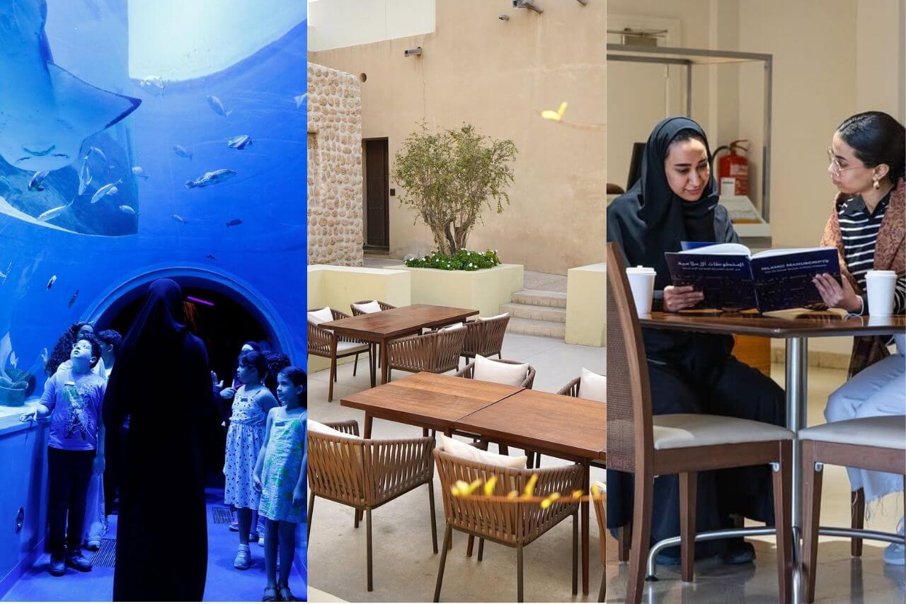 Best 16 Family-Friendly Attractions in Sharjah – Kids’ Activities, Parks & Educational Spots