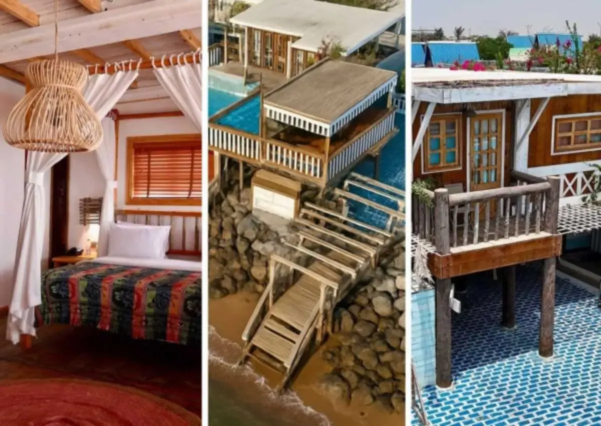 Pet-Friendly Hotels in Ras al Khaimah 2026: Your Complete Guide for Traveling with Your Furry Friend