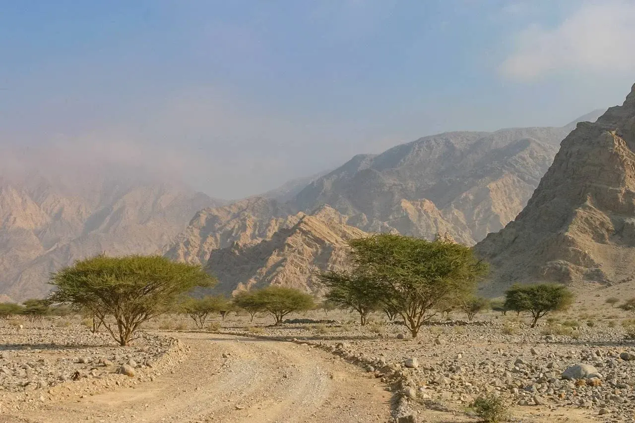 Hatta Resorts Ramadan 2026 Glamping Packages: Nature-Inspired Stay, Iftar and Suhoor Deals & Thrilling Things to Do