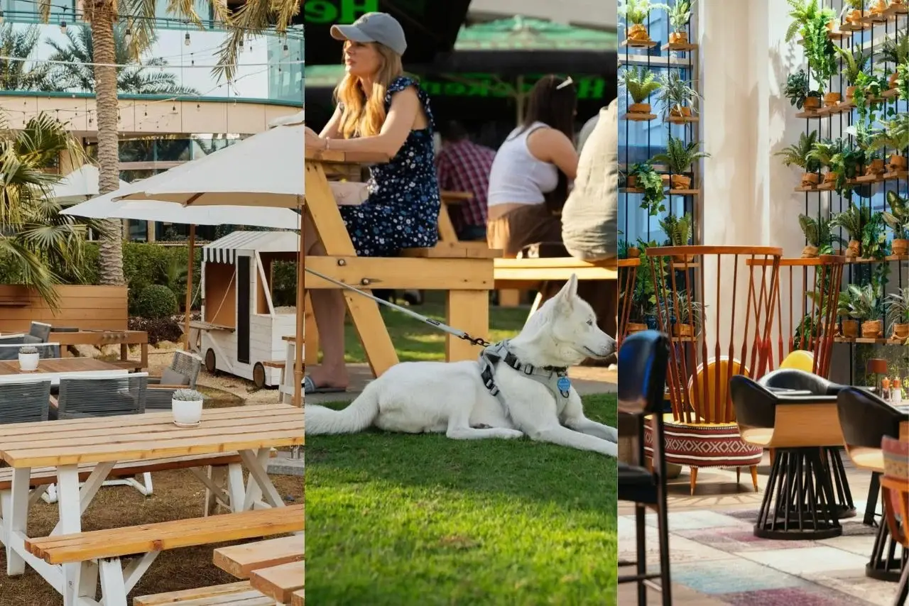 From Giraffe Breakfasts to Cat Cafés: Dining with Animals in Dubai Feels Surreal